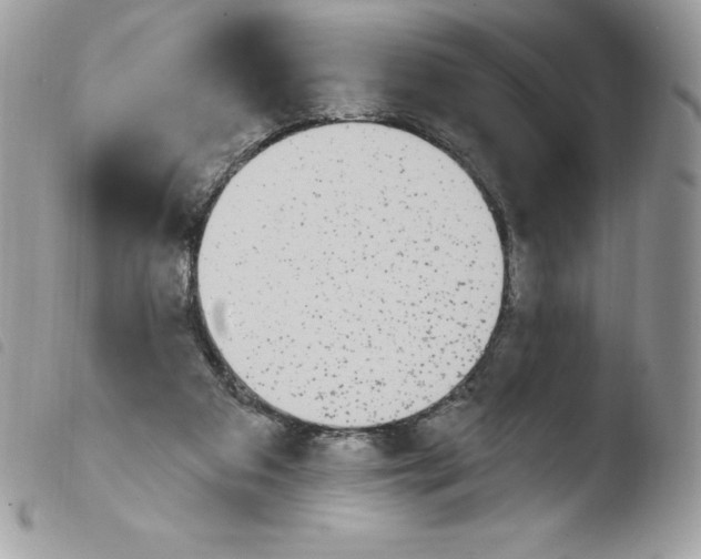 X0000103930113200810171800