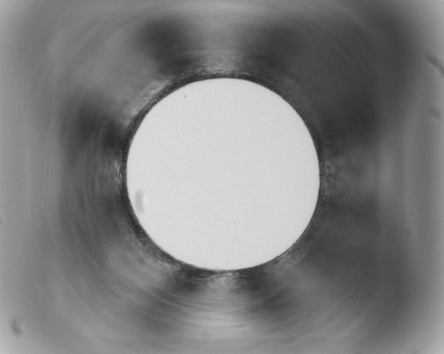 X0000103930116200810171800