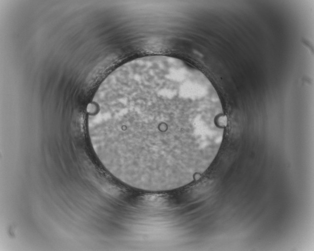 X0000103930117200810171800