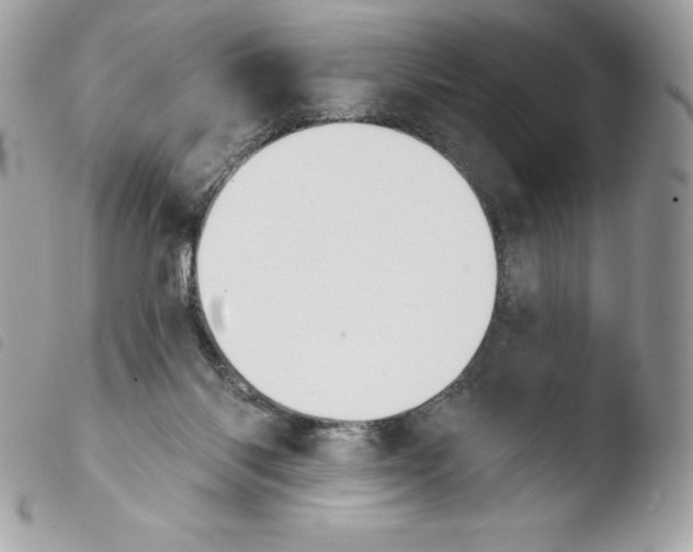 X0000103930118200810171800