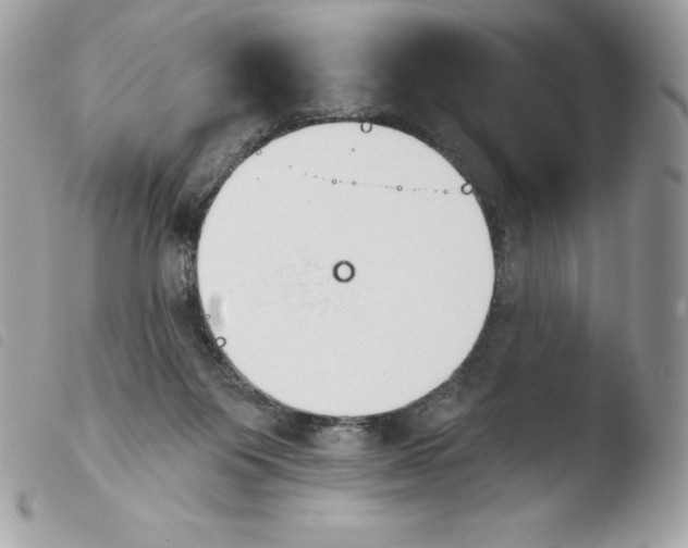 X0000103930119200810171800