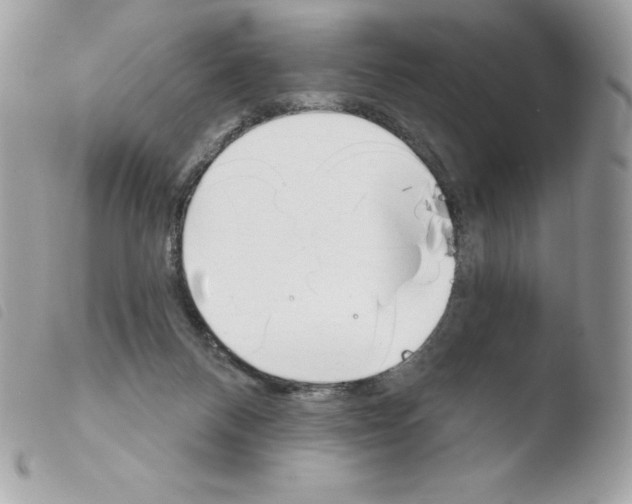 X0000103930120200810171800