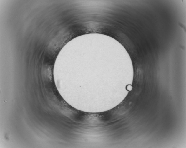 X0000103930121200810171800