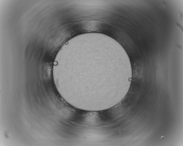 X0000103930124200810171800