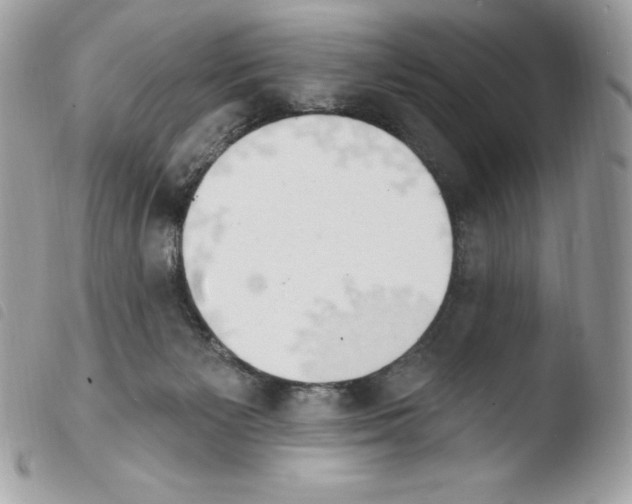 X0000103930125200810171800