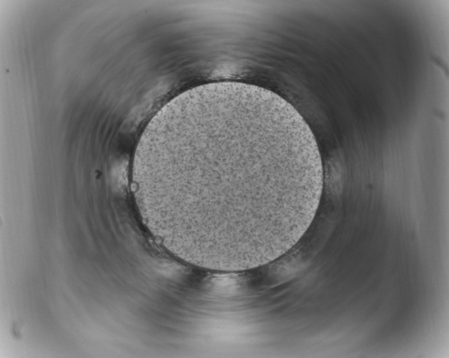 X0000103930127200810171800