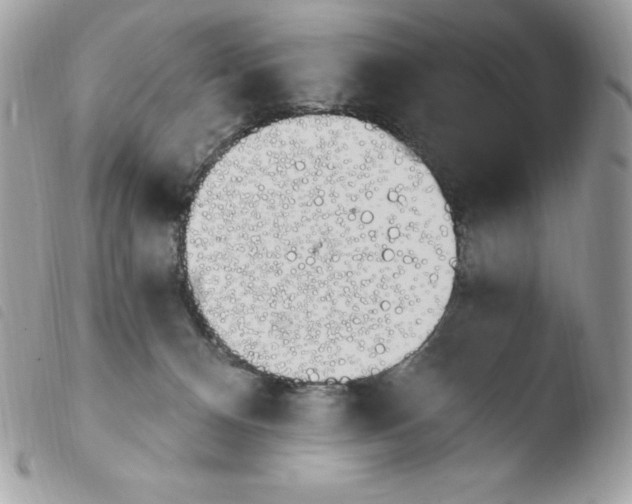 X0000103930128200810171800