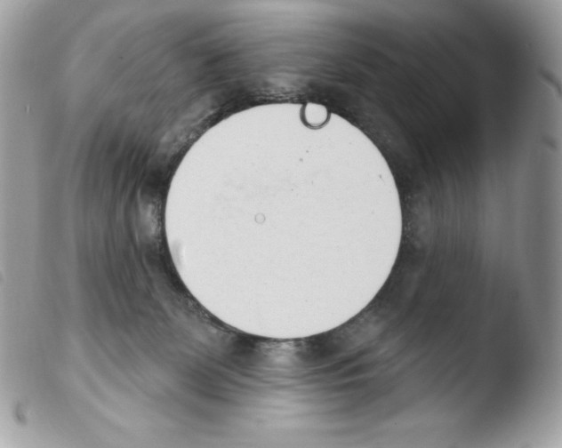 X0000103930131200810171800