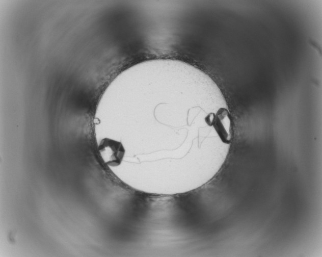 X0000103930132200810171800