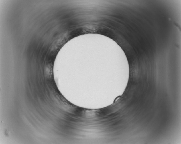 X0000103930134200810171800