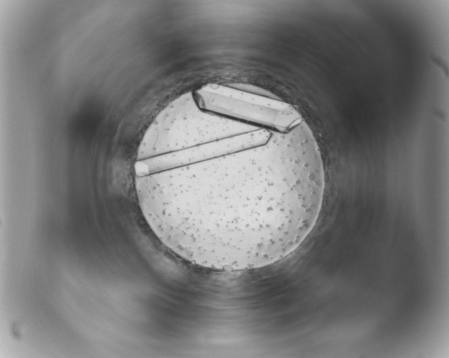 X0000103930136200810171800