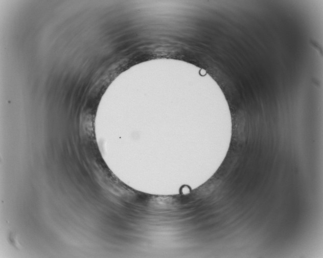 X0000103930137200810171800