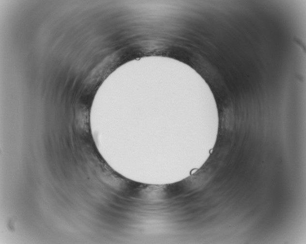 X0000103930138200810171800