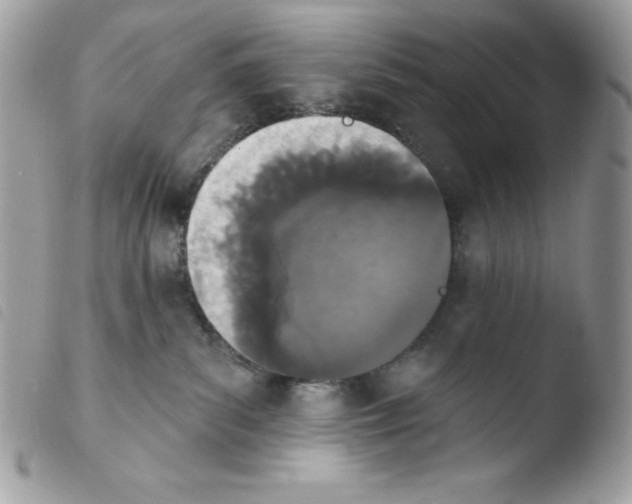 X0000103930139200810171800