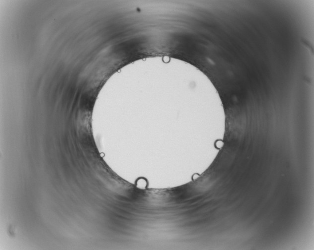 X0000103930141200810171800