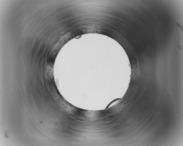 X0000103930142200810171800