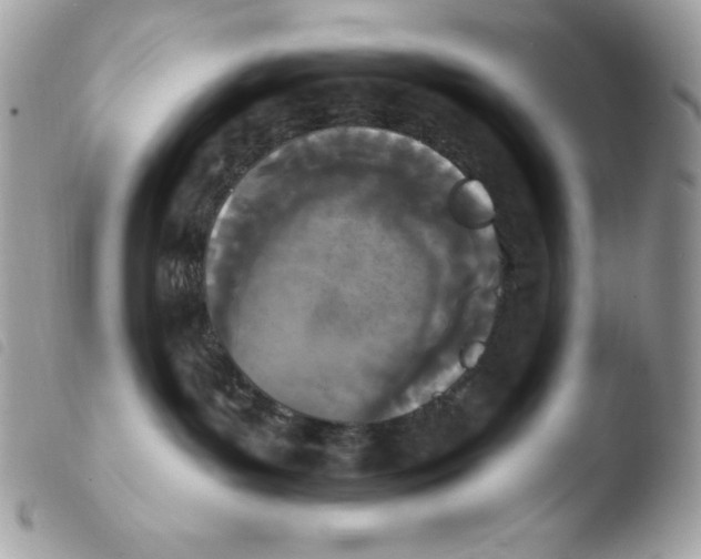 X0000103930143200810171800