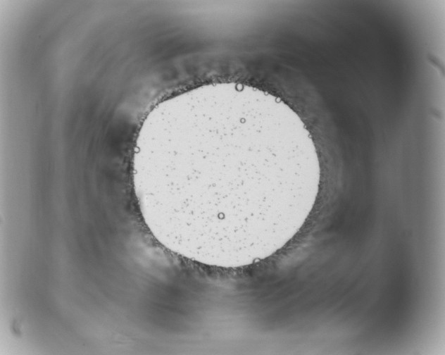 X0000103930144200810171800