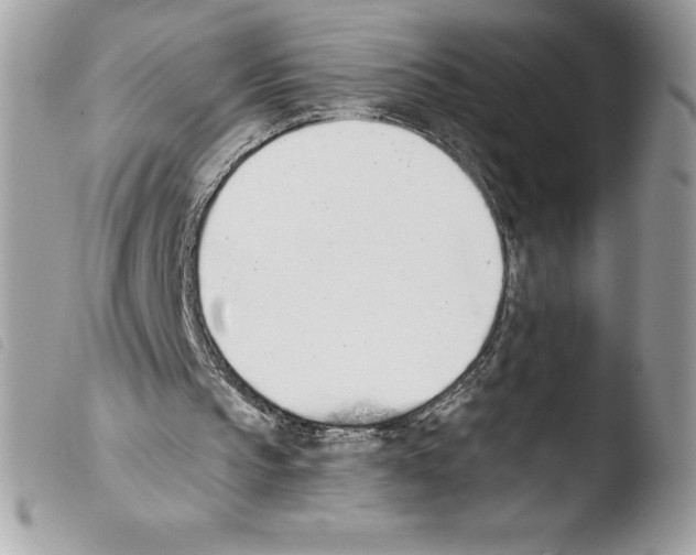 X0000103930145200810171759