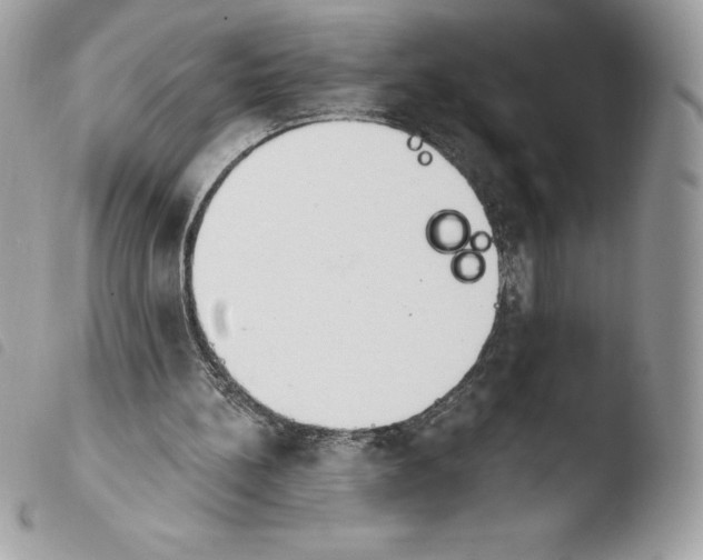 X0000103930148200810171759