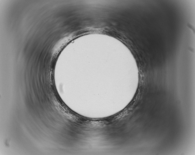 X0000103930149200810171759