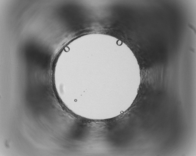 X0000103930150200810171759