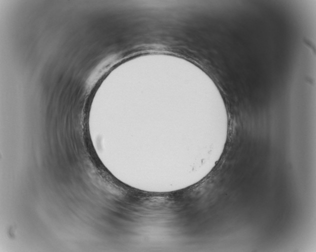 X0000103930151200810171759