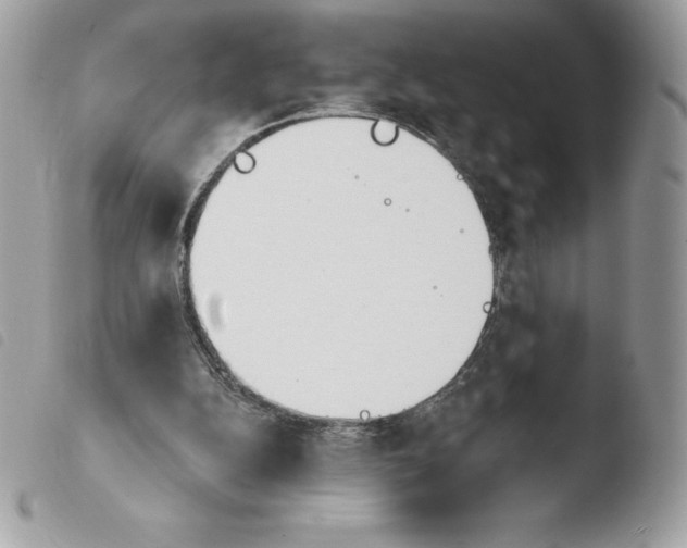 X0000103930152200810171759