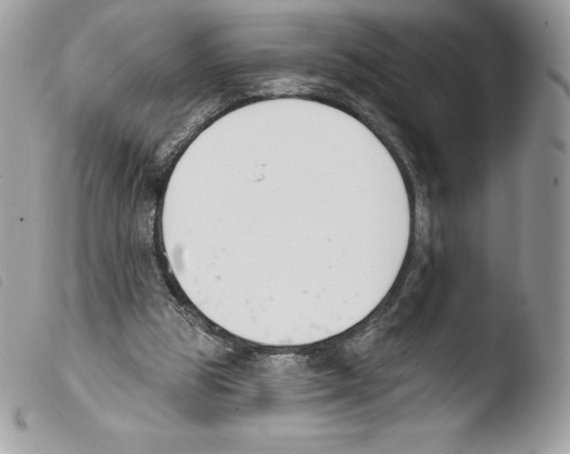 X0000103930153200810171759