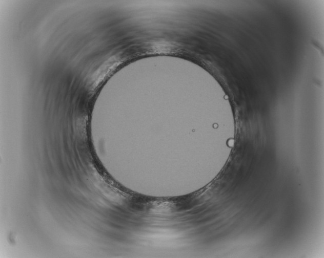 X0000103930154200810171759