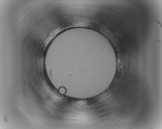 X0000103930156200810171759