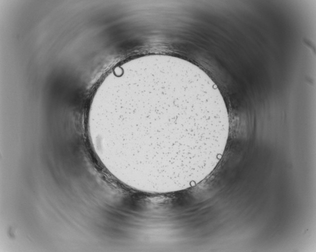 X0000103930158200810171800