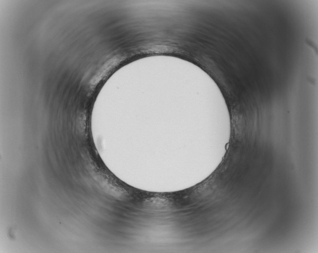 X0000103930159200810171800