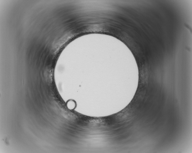 X0000103930160200810171800