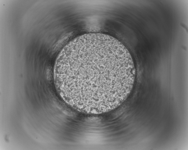 X0000103930161200810171800