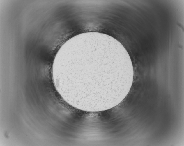 X0000103930162200810171800