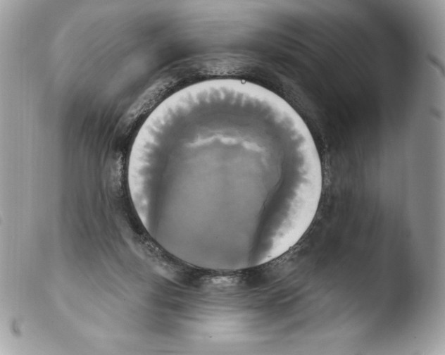 X0000103930163200810171800