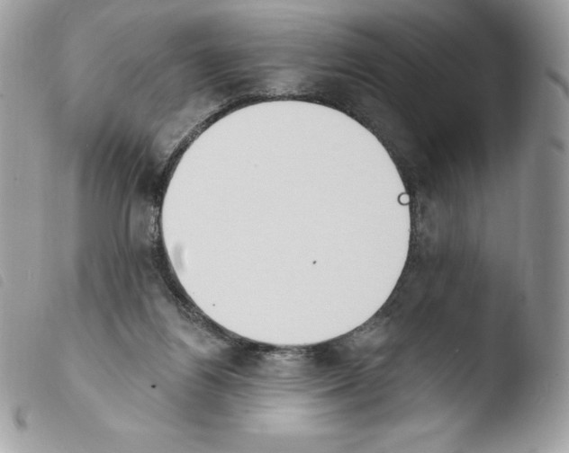 X0000103930164200810171800