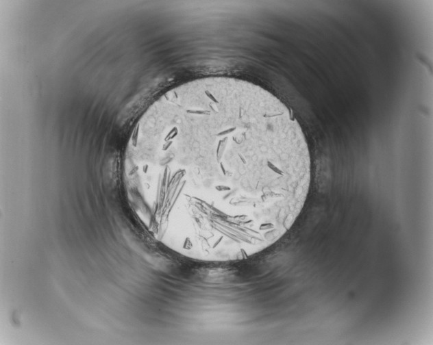 X0000103930165200810171800