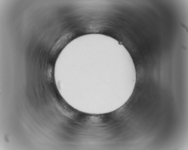 X0000103930166200810171800