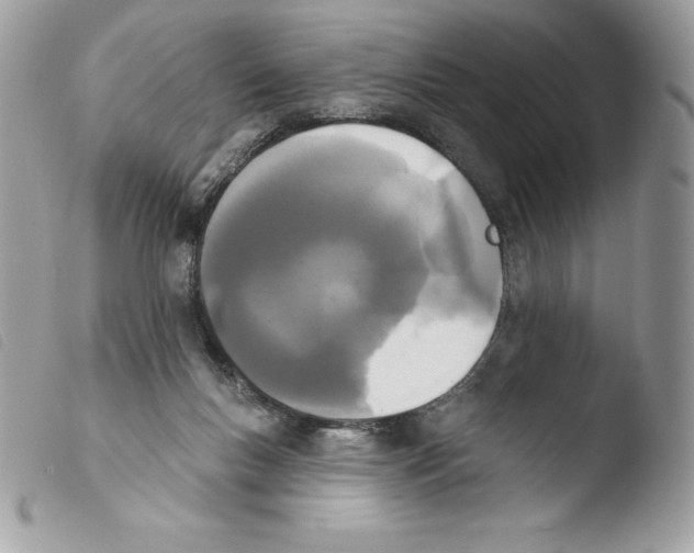 X0000103930167200810171800