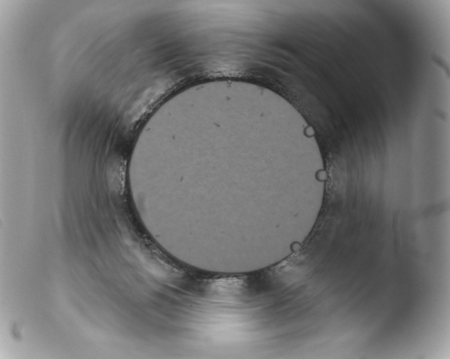 X0000103930168200810171800