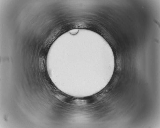 X0000103930169200810171800