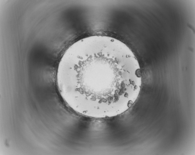 X0000103930174200810171800