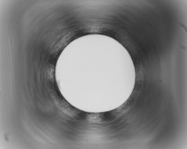 X0000103930175200810171800