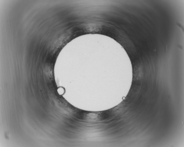 X0000103930176200810171800