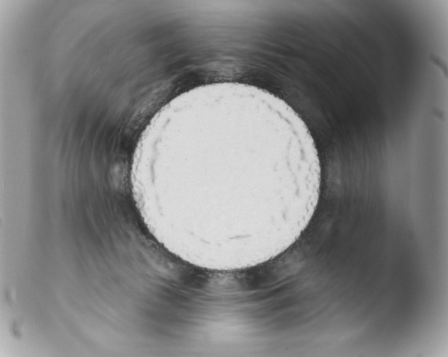 X0000103930177200810171800