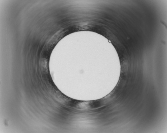 X0000103930178200810171800