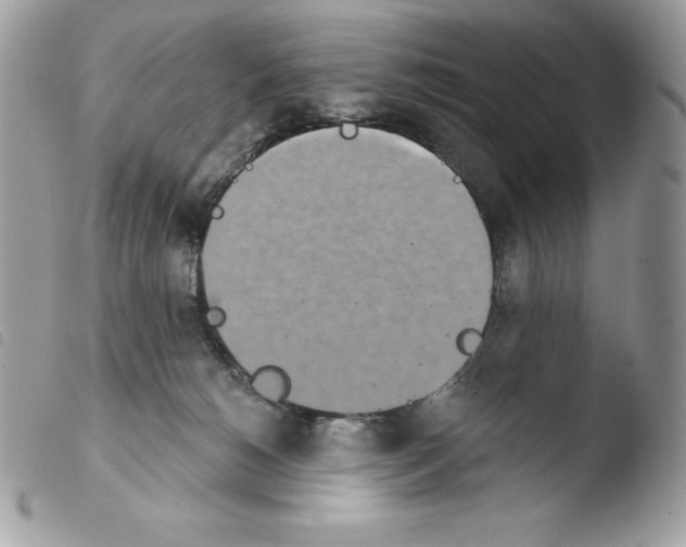 X0000103930180200810171800