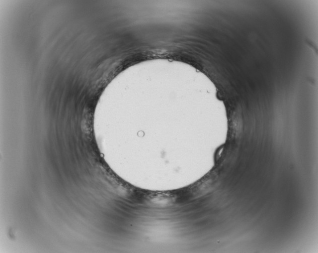 X0000103930181200810171800